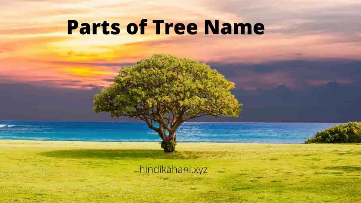 parts-of-tree-name-hindi-kahani