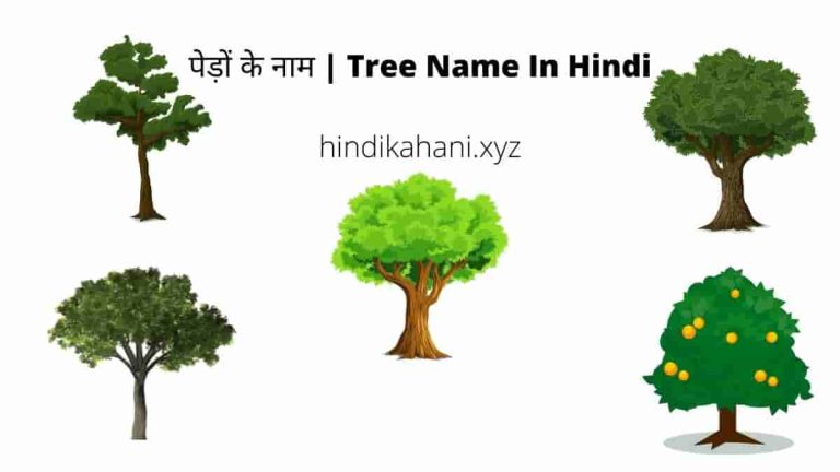 tree-name-in-hindi-hindi-kahani